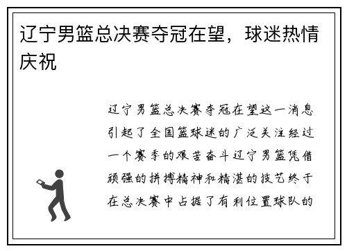 辽宁男篮总决赛夺冠在望，球迷热情庆祝