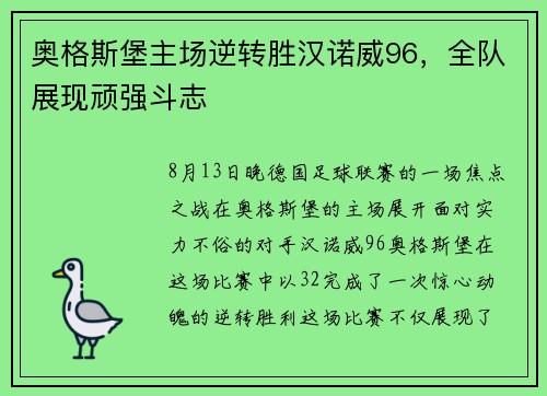 奥格斯堡主场逆转胜汉诺威96，全队展现顽强斗志