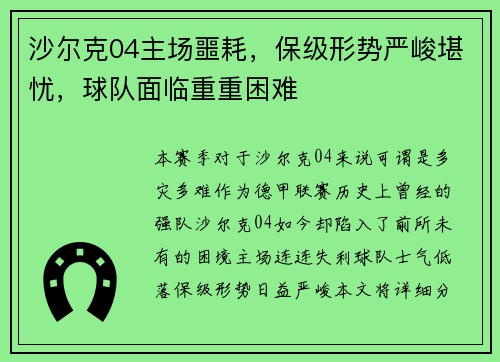 沙尔克04主场噩耗，保级形势严峻堪忧，球队面临重重困难